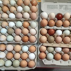 Eggs $5/18 $4/Doz