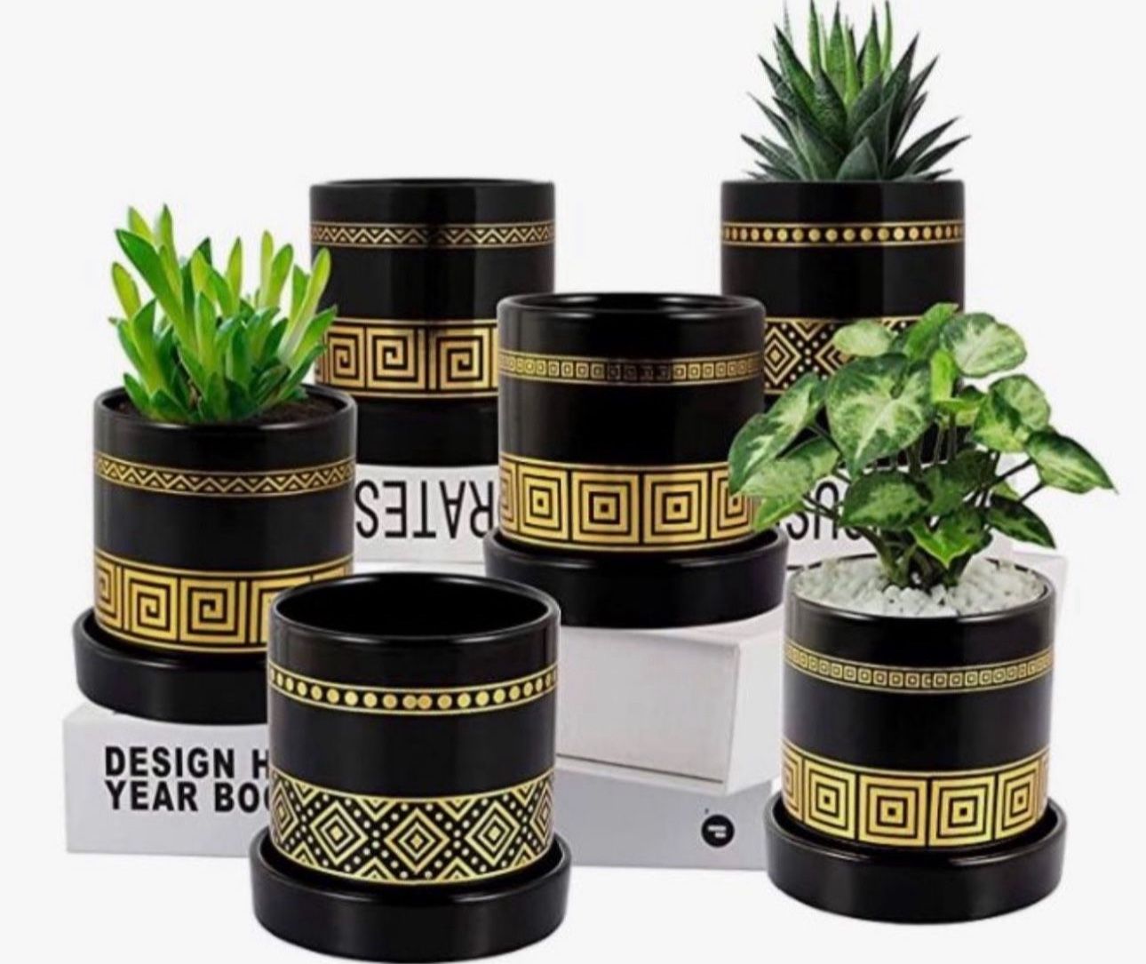3.2 inch Succulent Plant Pots – Ceramic Flower Pot with Ceramic Tray and Drainage Hole for Plants Succulent Cactus (Plant NOT Included) - 6 Pack (Gol