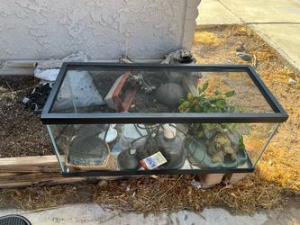 Reptile tank with accessories