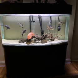 Fish Tank With Stand And Canopy 