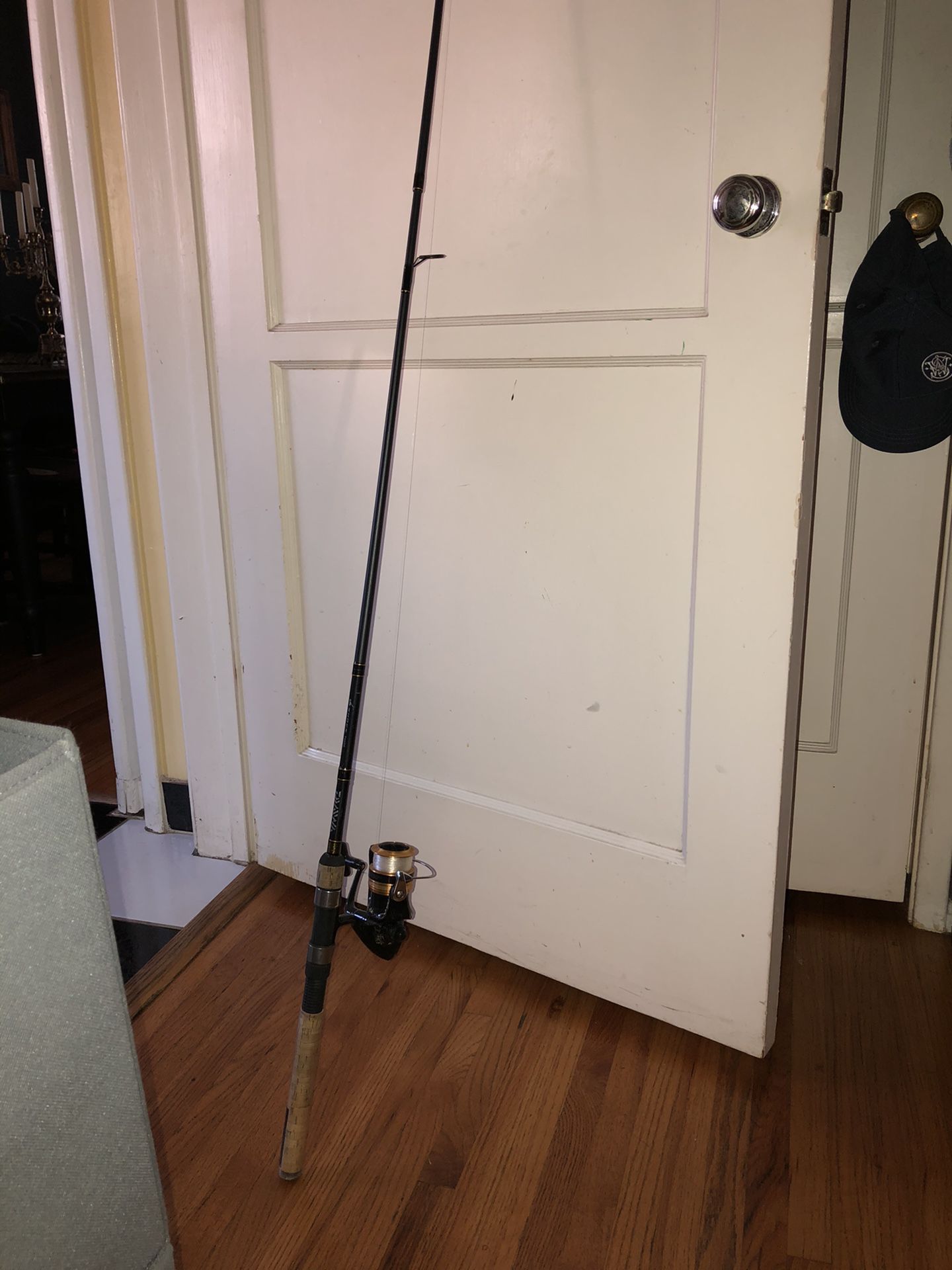 Fishing pole and reel