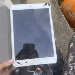 Ipad Mini 