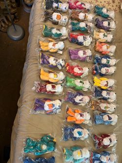 Treasure coin bears