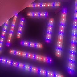 Kind LED Grow Lights X² Commercial LED Grow Light. KIND LED X2 Light. New!