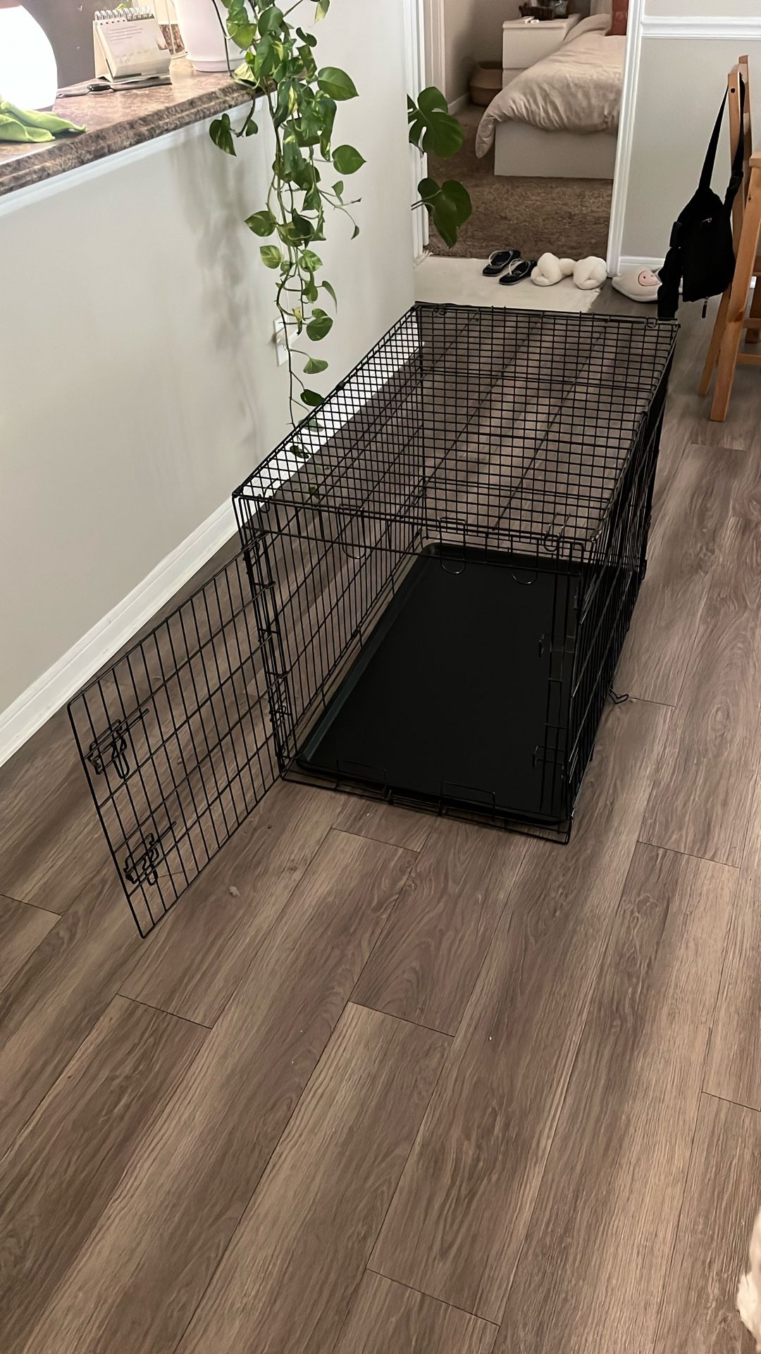 dog crate