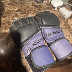 Kickboxing Gloves 
