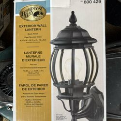 Hampton Bay Exterior Wall Lantern (light)