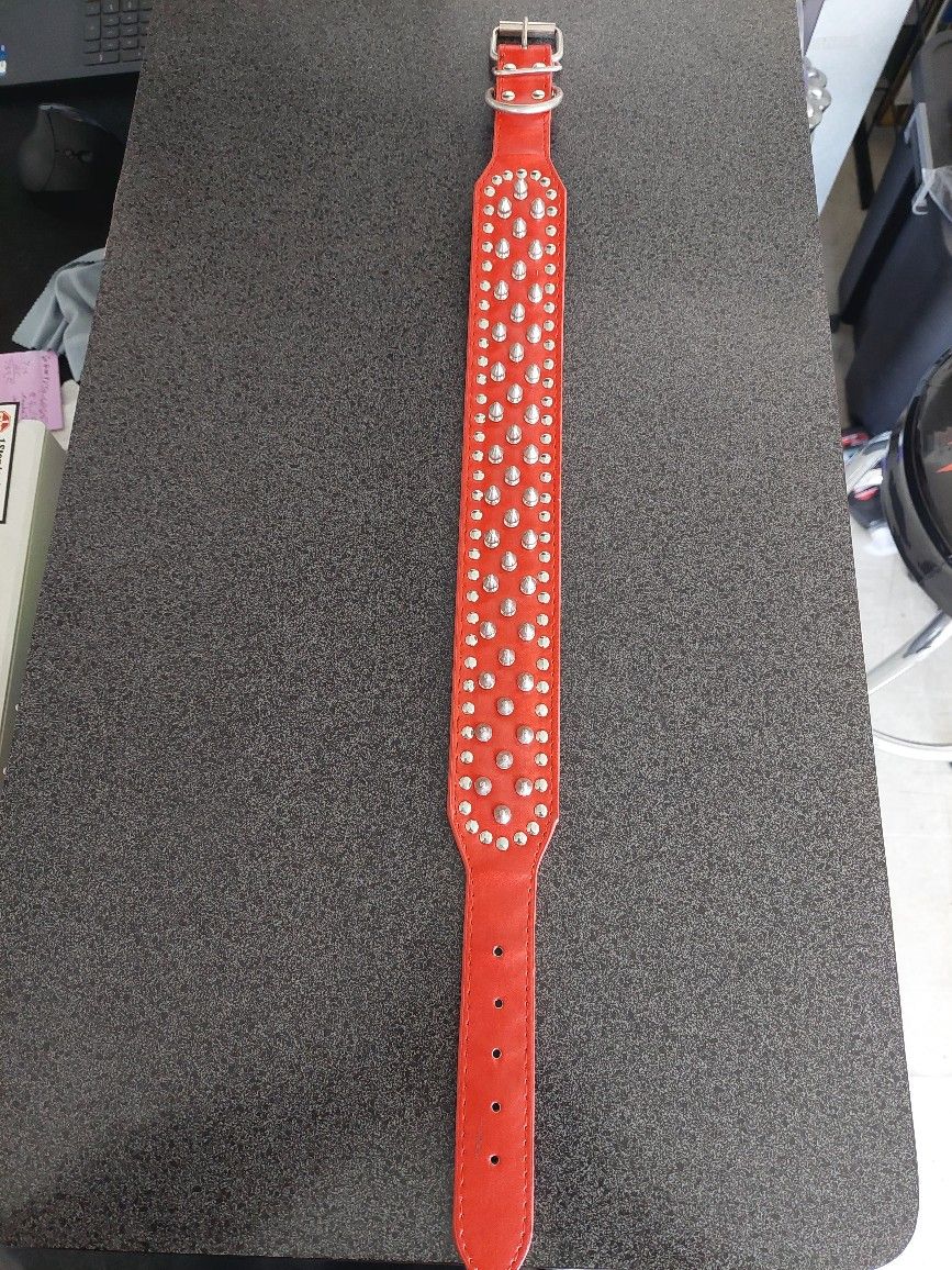 Spiked Collar