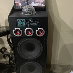 Speaker with a microphone