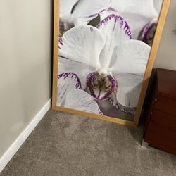 Picture frame