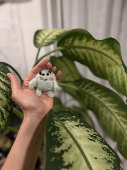 Cute Home decor friend