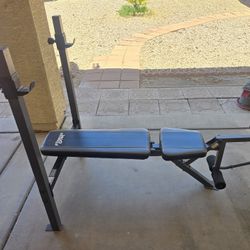 Workout Bench Adjustable