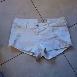 Hollister shorts