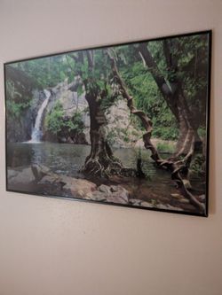 Framed Nature Poster