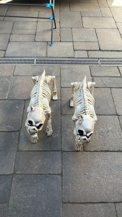 Halloween Skeleton Dog Decorations – Set of 2