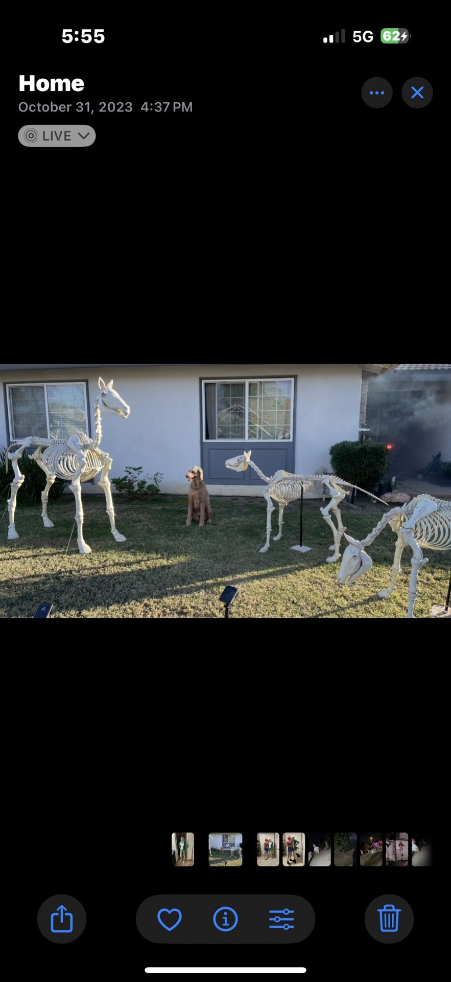 Last Minute Halloween Decorations