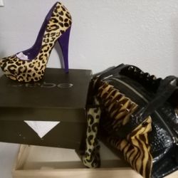 Purse And Bebe Pumps