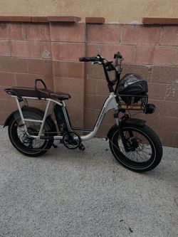 Rad Power Bikes Electric Cargo Bike with helmet
