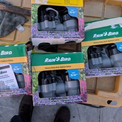 Rain Bird Valve 