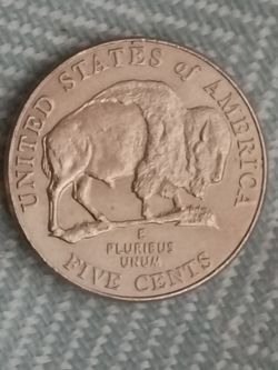 Undated nickel no mint. Buffalo 100.00 obo.