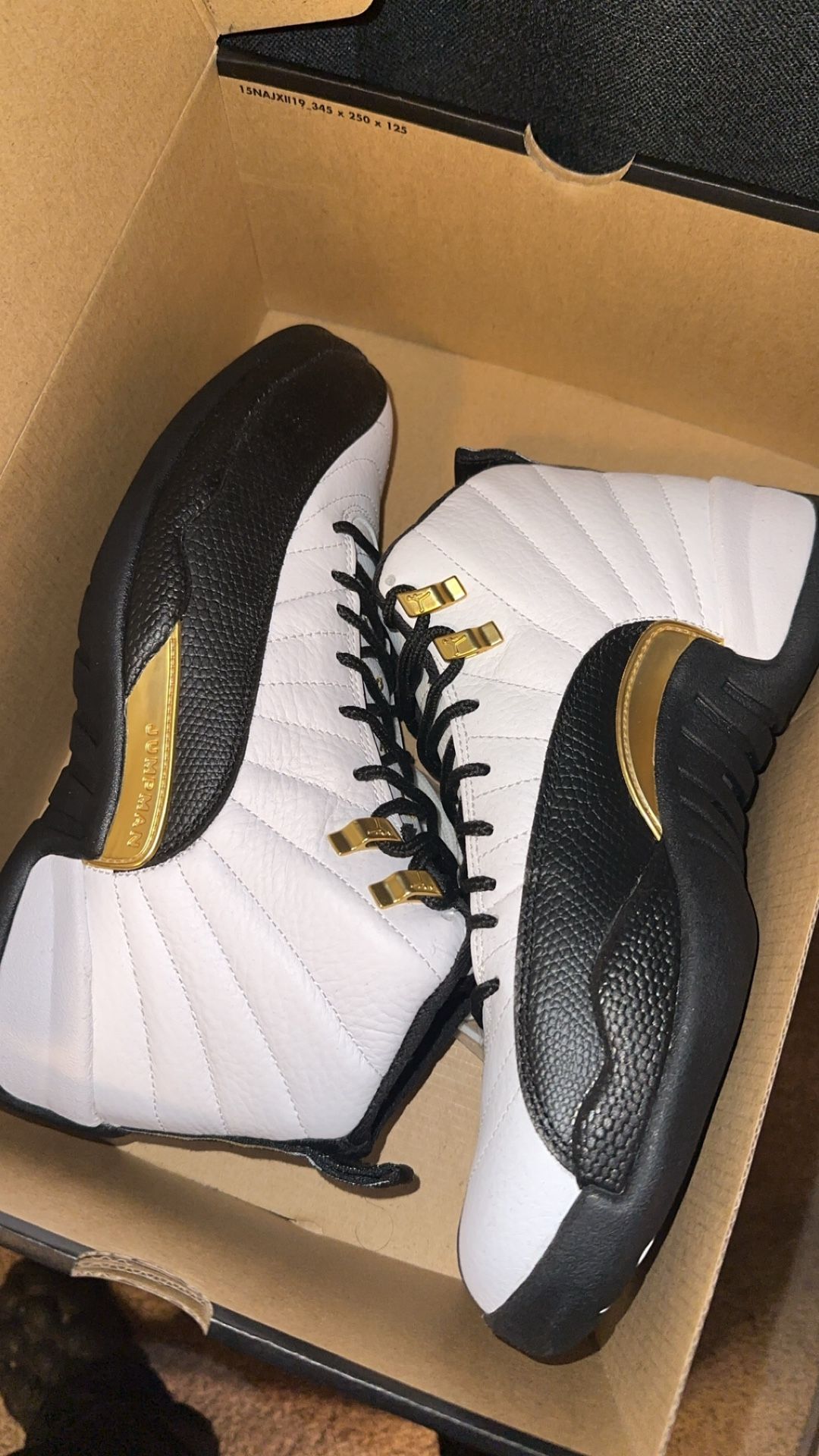 Jordan 12 