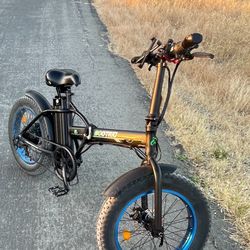 Ecotric Electric Bike