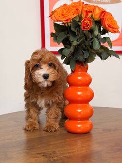 Mid century modern boho vase