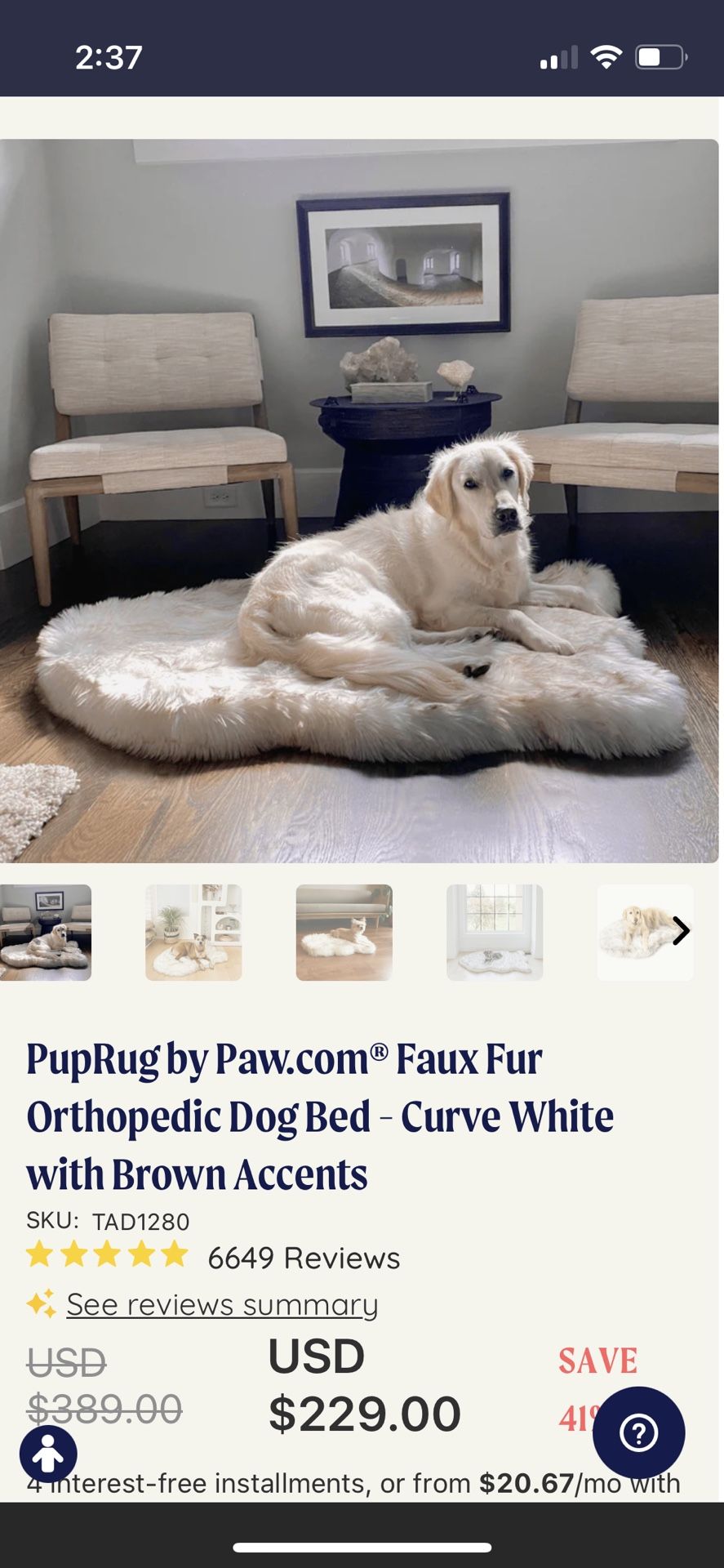 Orthopedic Dog Bed