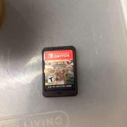 Switch Hunting Game 
