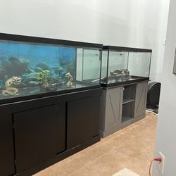  75 Gallons Fish Tanks,tank,stand,and decor Including 