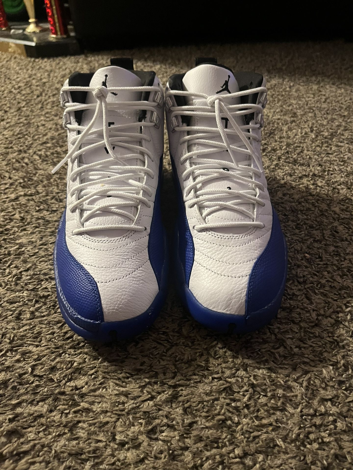 Jordan 12 “blueberry”