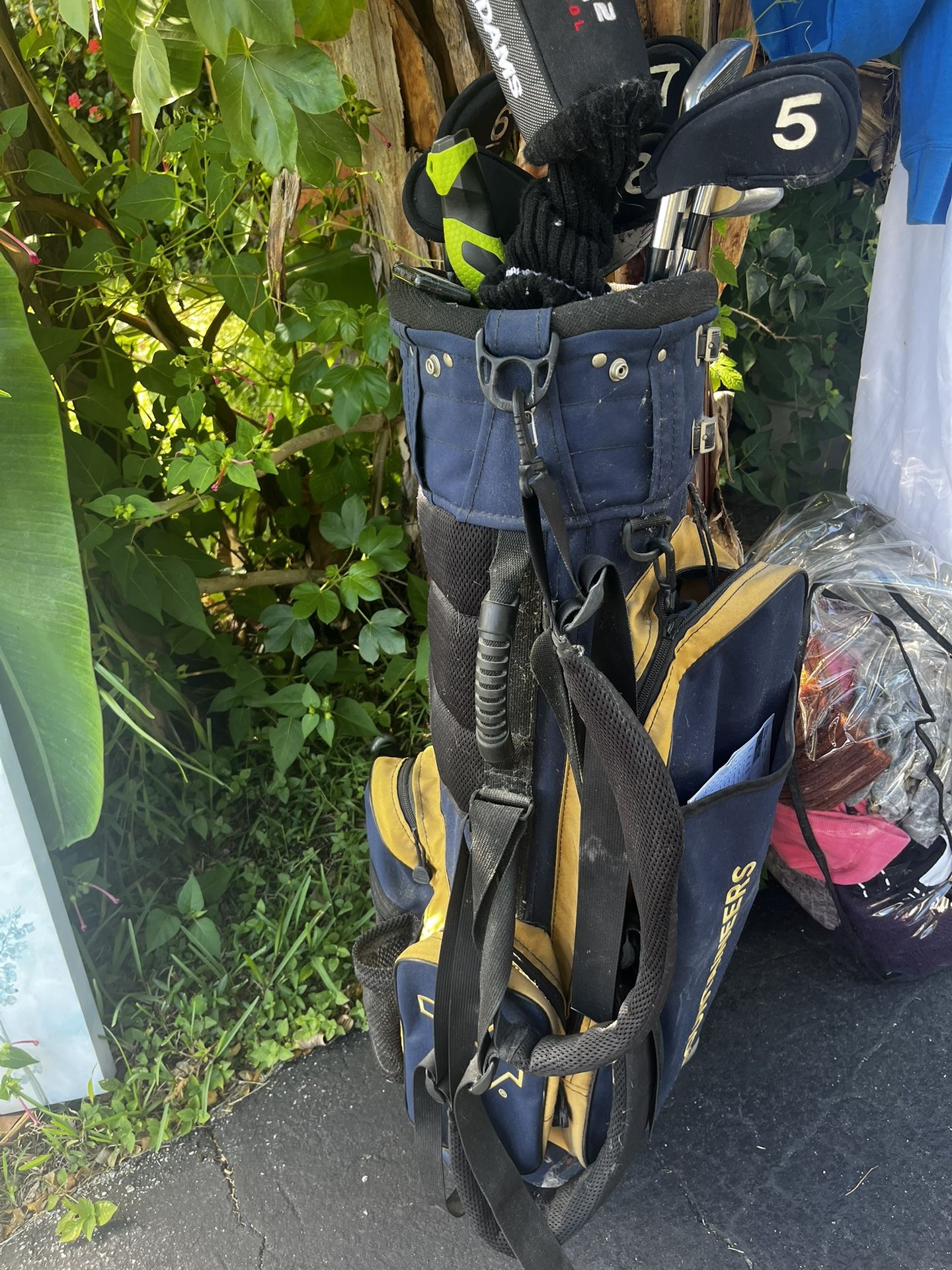 Golf Clubs with Bag