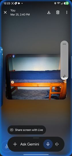 Solid wood bunk bed