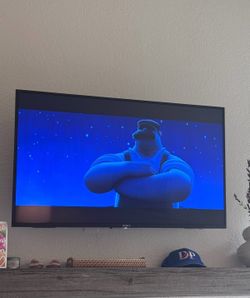Sony 50in Flat Screen TV with Mount