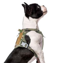 Tactical Harness * I Have Most Sizes And Many Colors