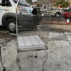Bird Cage