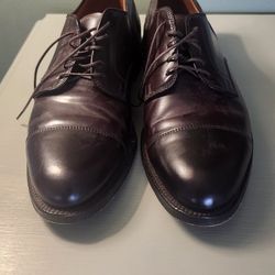 Alden Dress Shoes (Size 10)