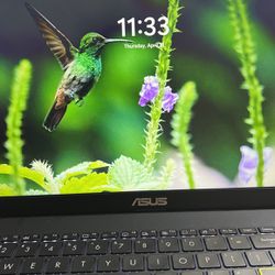 Brand New Asus Laptop