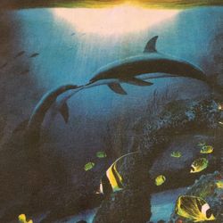 Wyland Signed By Artist In 2000 T-shirt Sz S W/ Tags