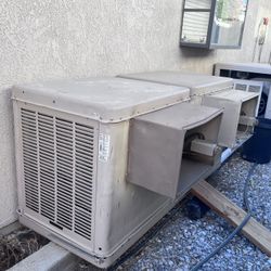   Swamp Cooler 