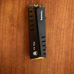 fanxiang S770 1TB NVMe M.2 SSD for PS5