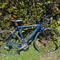 2006 TREK 1000 WSD 24-SPEED ROAD BIKE (MEDIUM)