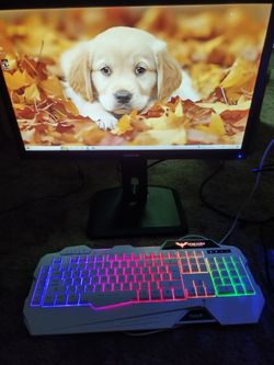 Entry Level Custom Gaming Desktop With Monitor