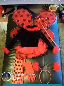 Ladybug costume toddler