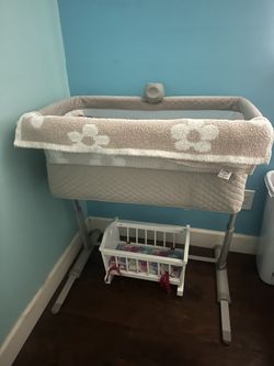Baby Delight Bassinet