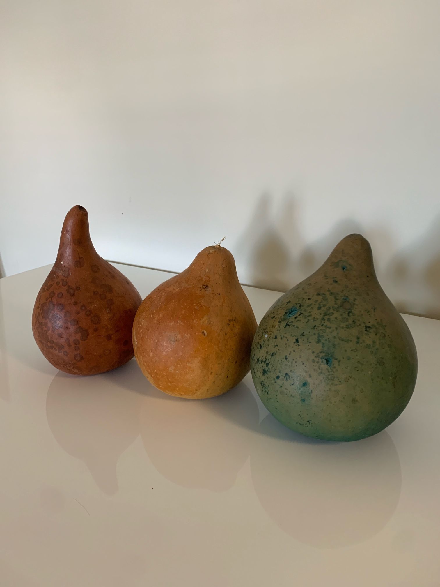 Dried Gourd