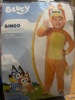Bingo Costume