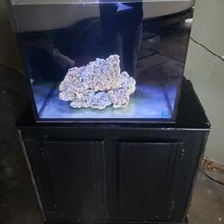 50 Gallon Rimless Cube Reef Aquarium 