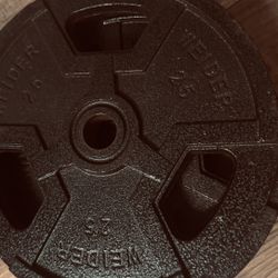 2x 25 Lbs Weight Discs