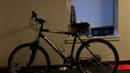 Raleigh mt bike